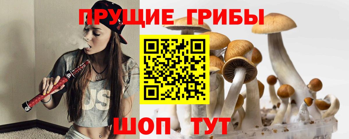Галлюциногенные грибы ЛСД Новоалтайск