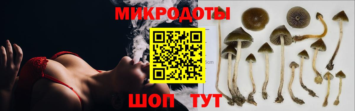 Галлюциногенные грибы MAGIC MUSHROOMS  Вход с VPN  где можно купить   Новоалтайск 